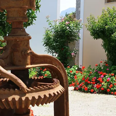 Mouria Appartement *